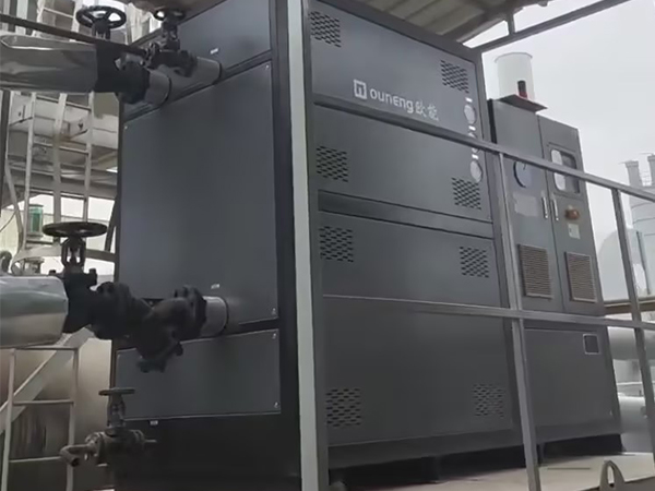 120KW有機(jī)熱載體爐